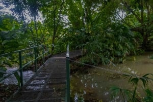 El Tanque: GreenEcoPark Guided Hike with Seasonal Fruits