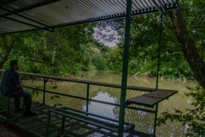 El Tanque: GreenEcoPark Guided Hike with Seasonal Fruits