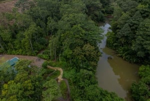 El Tanque: GreenEcoPark Guided Hike with Seasonal Fruits