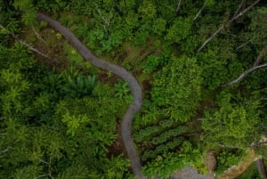 El Tanque: GreenEcoPark Guided Hike with Seasonal Fruits