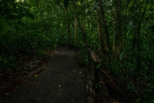 El Tanque: Geführte GreenEcoPark-Wanderung mit saisonalen Früchten