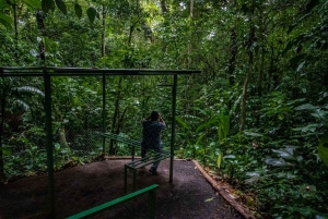 El Tanque: Geführte GreenEcoPark-Wanderung mit saisonalen Früchten