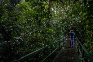 El Tanque: Geführte GreenEcoPark-Wanderung mit saisonalen Früchten