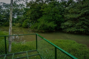 El Tanque: Geführte GreenEcoPark-Wanderung mit saisonalen Früchten