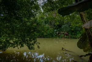 El Tanque: Geführte GreenEcoPark-Wanderung mit saisonalen Früchten