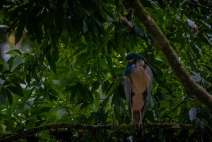 El Tanque: Geführte GreenEcoPark-Wanderung mit saisonalen Früchten