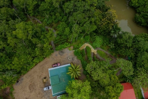 El Tanque: Geführte GreenEcoPark-Wanderung mit saisonalen Früchten