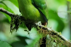 Monteverde: Enjoing the clouds in Monteverde