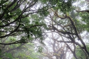 Monteverde: Enjoing the clouds in Monteverde