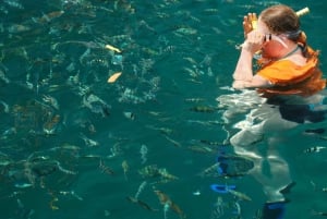 Epic Cahuita Combo Tour: Snorkel Reefs & Hike with Wildlife