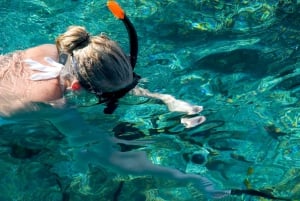 Epic Cahuita Combo Tour: Snorkel Reefs & Hike with Wildlife