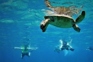 Epic Cahuita Combo Tour: Snorkel Reefs & Hike with Wildlife