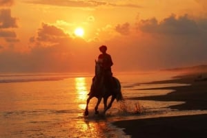 Esterillos Este: Manuel Antonio Beach Horseback Ride