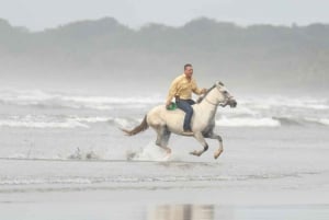 Esterillos Este: Manuel Antonio Beach Horseback Ride