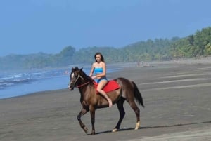 Esterillos Este: Manuel Antonio Beach Horseback Ride