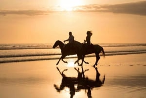 Esterillos Este: Manuel Antonio Beach Horseback Ride