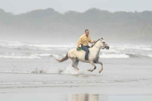 Esterillos Este: Paardrijden op het strand van Manuel Antonio