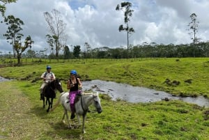 Expedition auf dem Pferderücken - Thermale, Rincón de la Vieja