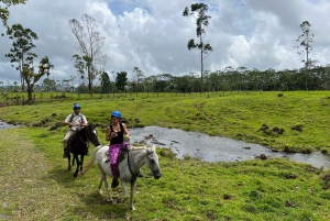 Expedición a caballo-termal, Rincón de la Vieja