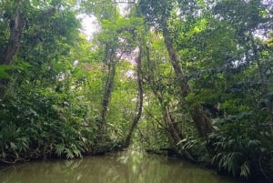 3-hour experience through the channels of the National Park.