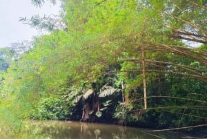 3-hour experience through the channels of the National Park.