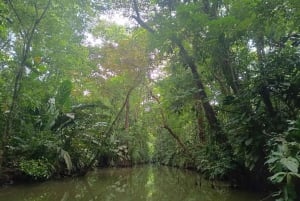 3-hour experience through the channels of the National Park.