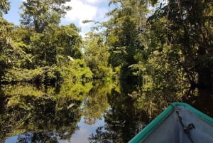 3-hour experience through the channels of the National Park.