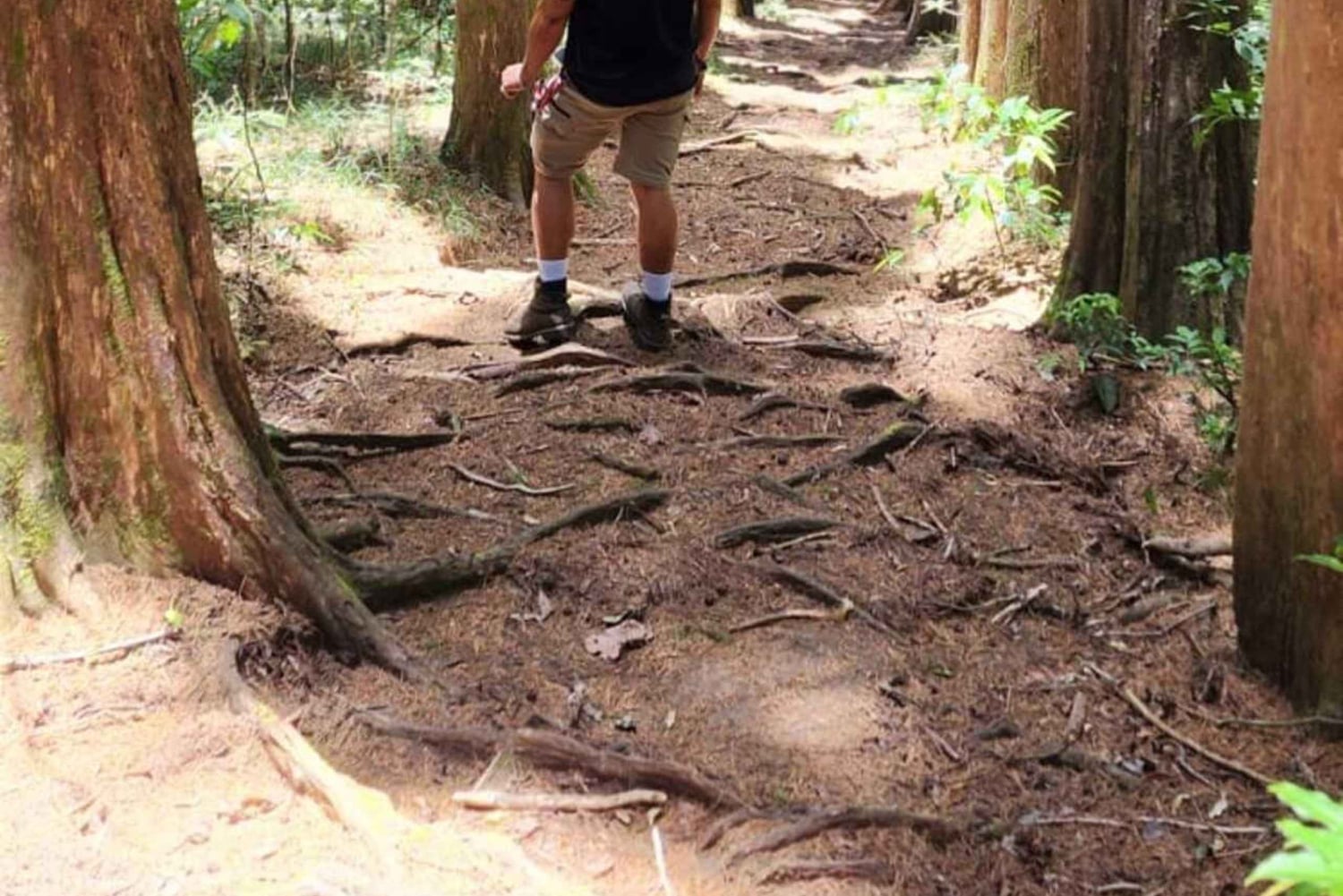 Odkrywanie i przygoda: przejażdżka i wędrówka Toyotą Land Cruiser