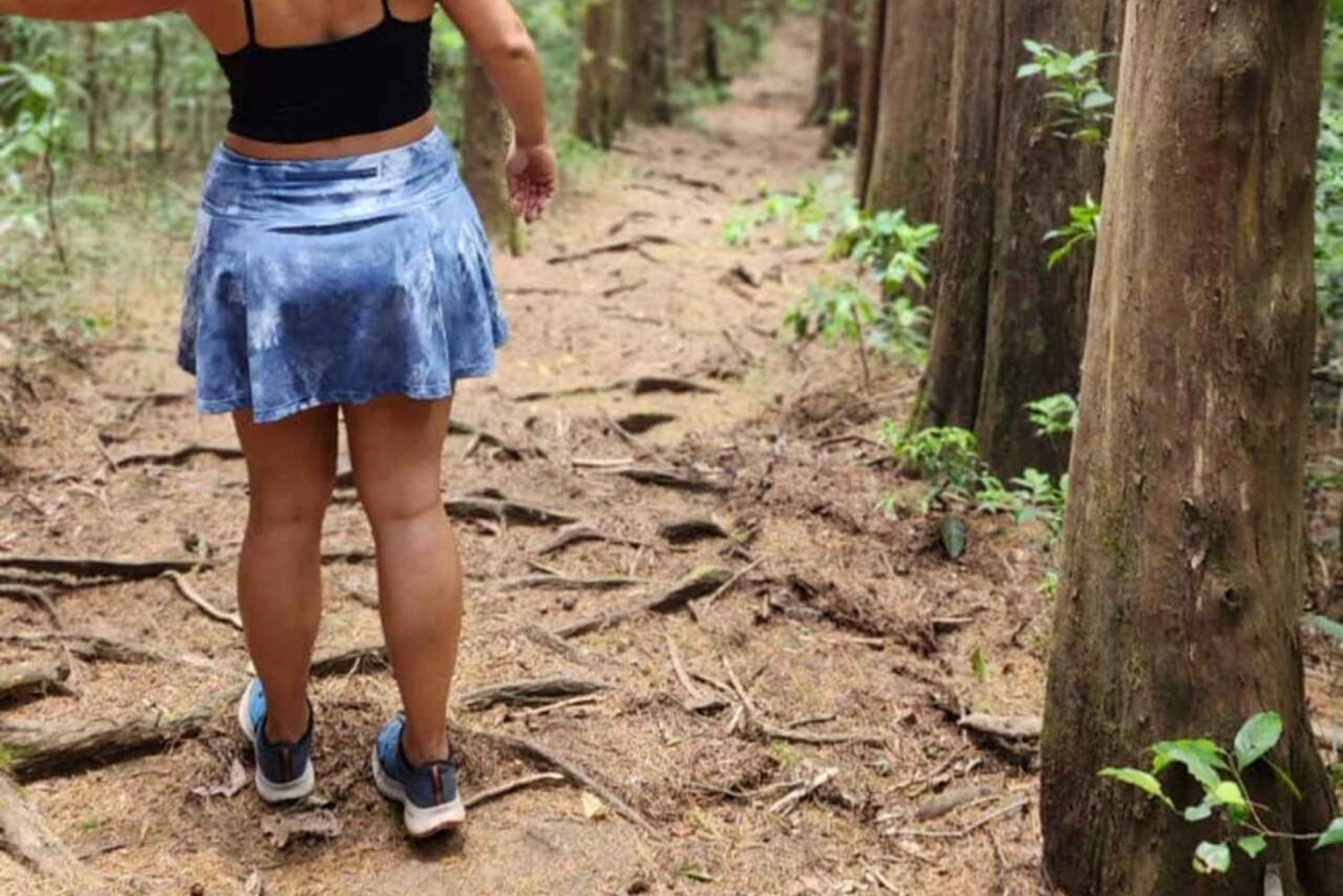 Odkrywanie i przygoda: przejażdżka i wędrówka Toyotą Land Cruiser