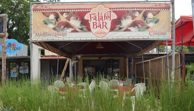 Falafel Bar