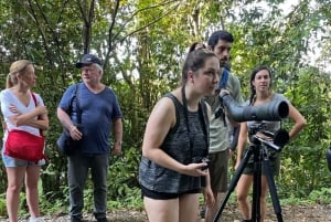 Guidet tur i Manuel Antonio nasjonalpark