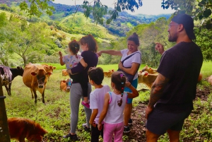 Excursão de queijos da fazenda Finca El Paraiso em Monteverde