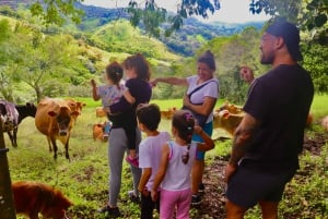 Finca El Paraiso Farm Cheese Tour in Monteverde