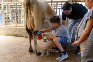 Finca El Paraiso Farm Cheese Tour in Monteverde