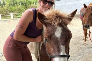 Finca Soley: Workshop de Liberdade e Coaching com Cavalos