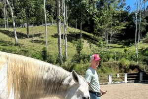 Finca Soley: Workshop de Liberdade e Coaching com Cavalos