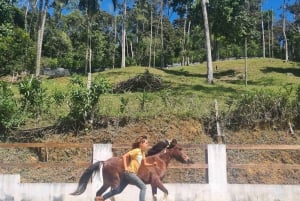 Finca Soley: Workshop de Liberdade e Coaching com Cavalos