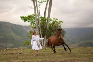 Finca Soley: Workshop de Liberdade e Coaching com Cavalos