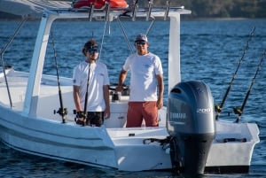 Baía Flamingo: Passeios de mergulho com snorkel e ao pôr do sol na praia