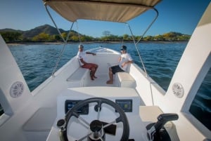 Baía Flamingo: Passeios de mergulho com snorkel e ao pôr do sol na praia