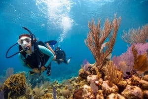 Las Catalinas: Descobre o mergulho em Flamingo e Tamarindo