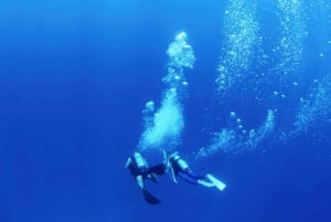 Las Catalinas: Descobre o mergulho em Flamingo e Tamarindo