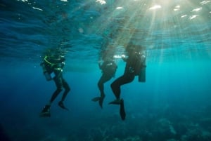 Las Catalinas: Descobre o mergulho em Flamingo e Tamarindo