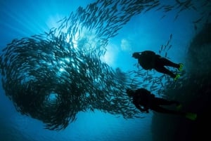 Las Catalinas: Descobre o mergulho em Flamingo e Tamarindo