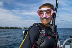 Las Catalinas: Descobre o mergulho em Flamingo e Tamarindo