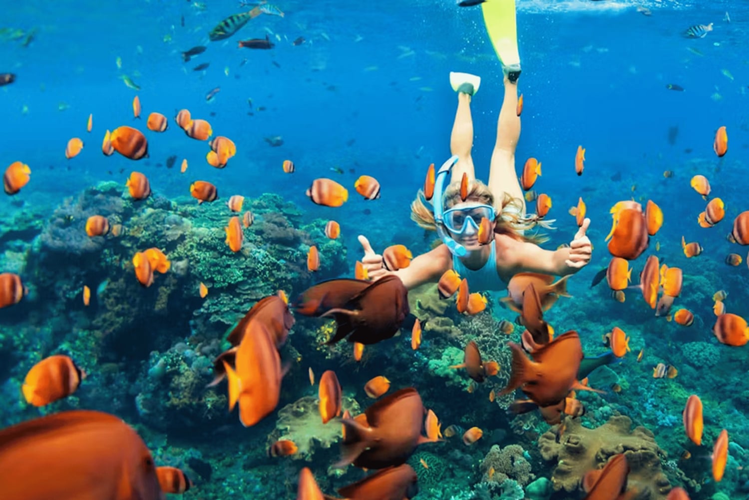 Flamingo e Tamarindo: fai snorkeling alle isole Las Catalinas