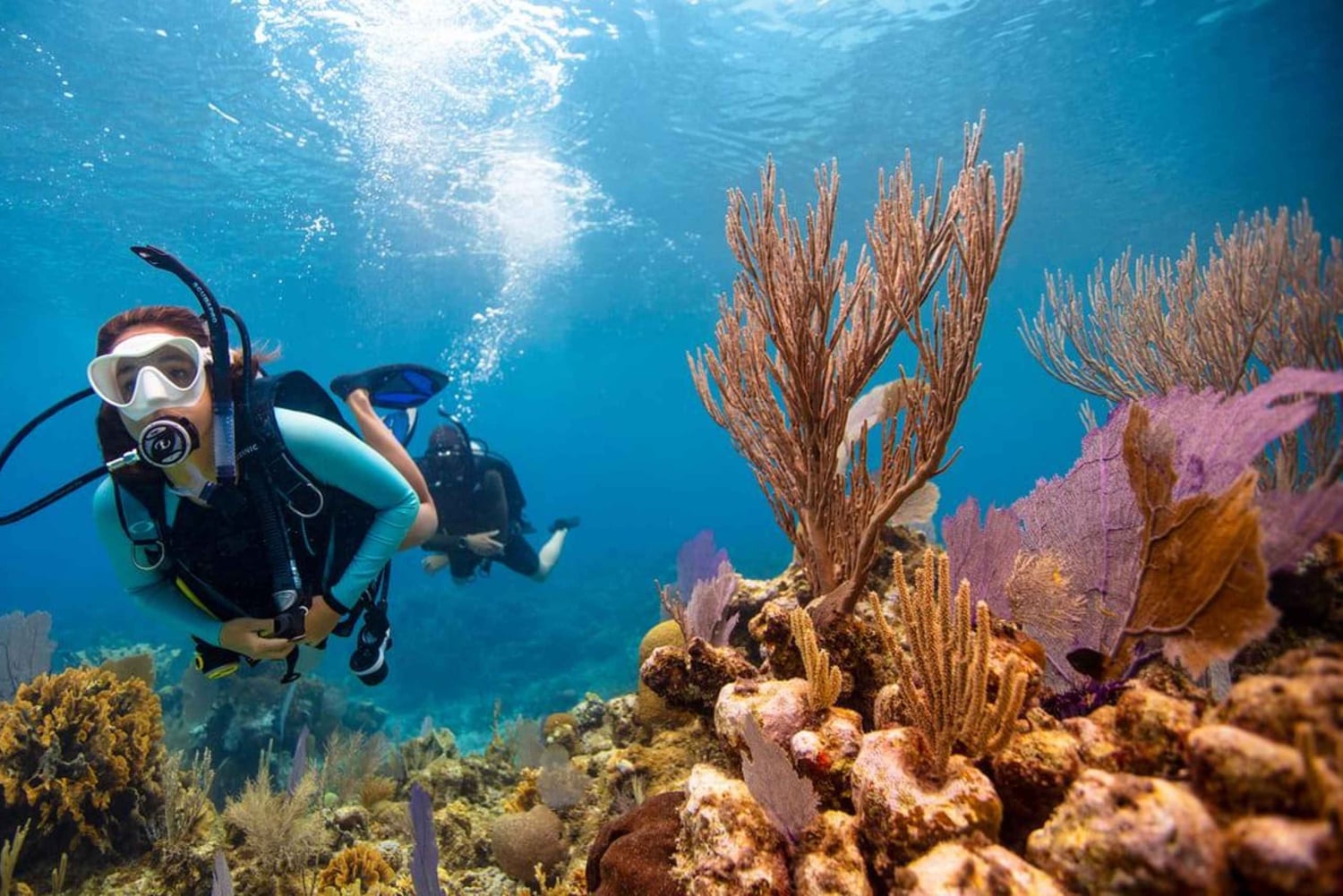 Flamingo og Tamarindo: To dykk ved Las Catalinas-øyene