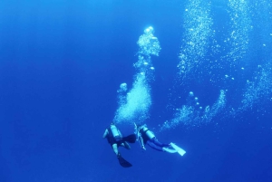 Flamingo og Tamarindo: To dykk ved Las Catalinas-øyene