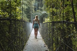 Fortuna Arenal: Tropischer Regenwald Arenal Hängebrücken
