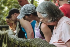 Fortuna Arenal: Tropischer Regenwald Arenal Hängebrücken